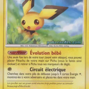 Pichu N°45 — DP Tempête — Français