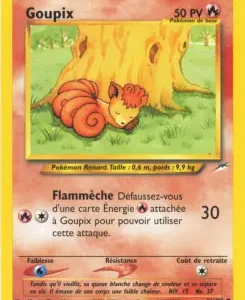 Goupix N°91 — Neo Destiny — Français