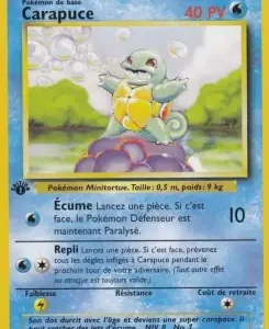 Carapuce N°63 — Set de Base — Français