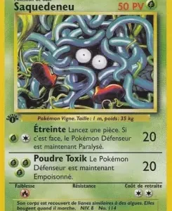 Saquedeneu N°66 — Set de Base — Français