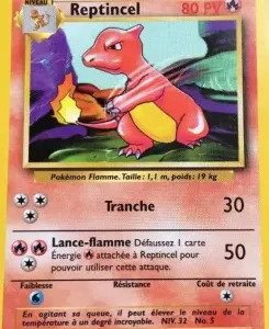 Reptincel N°24 — Set de Base — Français