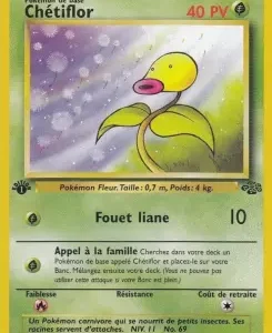 Chétiflor N°49 — Jungle — Français