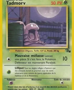 Tadmorv N°48 — Fossile — Français