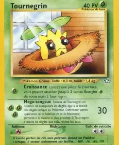 Tournegrin N°78 — Neo Genesis — Français