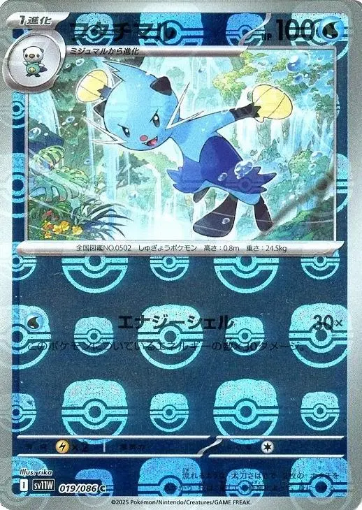 Mateloutre N°019 — sv11W – White Flare — Japonais