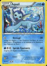 Aquali 3/12 — Promo McDonald's 2013 — Français — Holo
