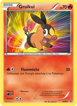 Gruikui BW02 — Promo BW — Français — Holo