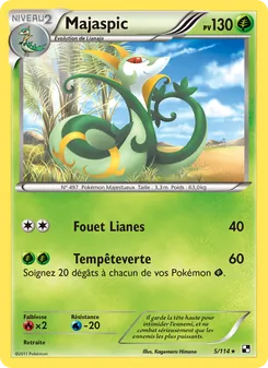 Majaspic 5/114 — Noir & Blanc — Français — Holo