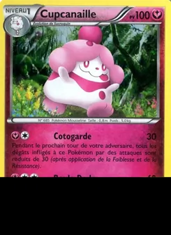 Cupcanaille XY15 — Promo XY — Français — Holo