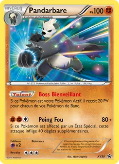 Pandarbare XY50 — Promo XY — Français — Holo