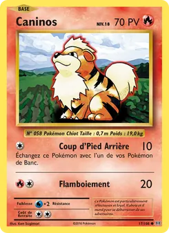 Caninos 17/108 — Évolutions — Français — Reverse